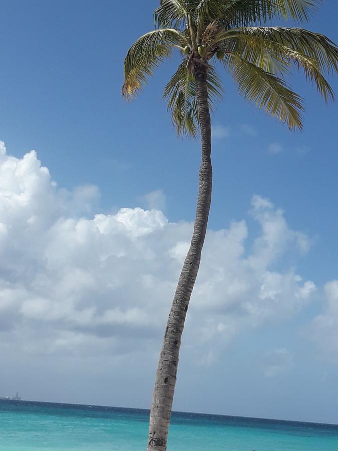 Aruba Harmony Apartments Oranjestad Bagian luar foto