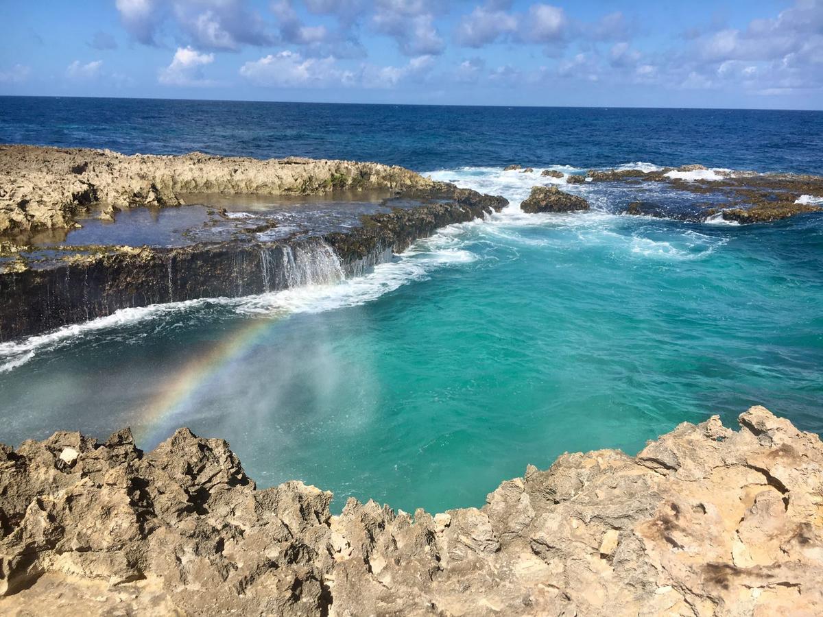 Aruba Harmony Apartments Oranjestad Bagian luar foto