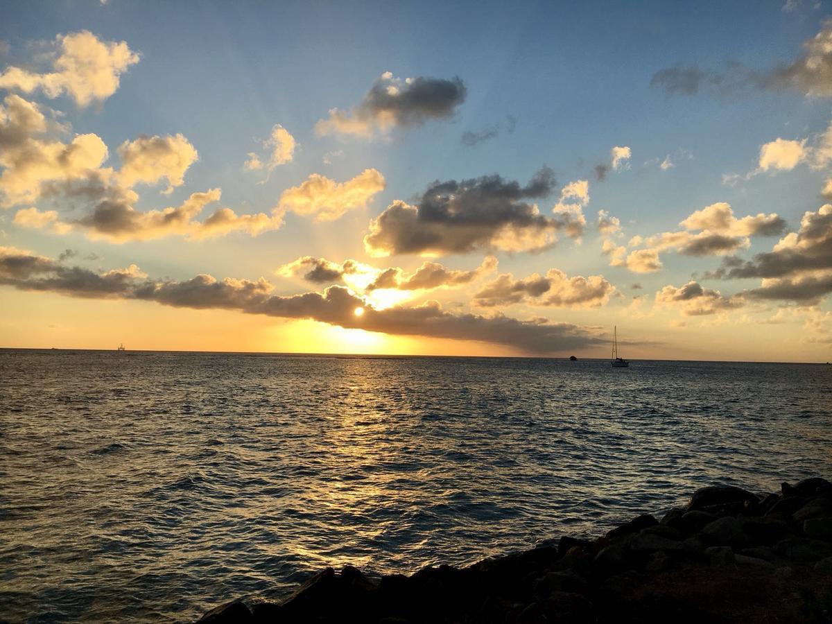 Aruba Harmony Apartments Oranjestad Bagian luar foto