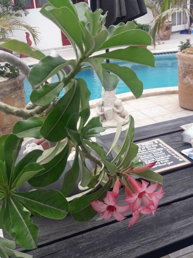 Aruba Harmony Apartments Oranjestad Bagian luar foto